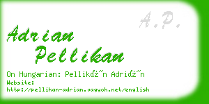 adrian pellikan business card